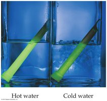 Effect of temperature on reaction rate (glow stick in hot and cold water)