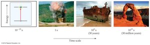 Examples of reaction rates on different time scales
