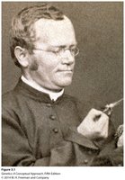 Portrait of Gregor Mendel