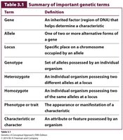 Summary of important genetic terms