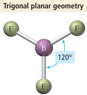 Trigonal planar geometry of BF3