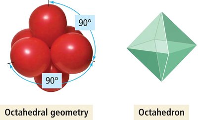 Octahedral geometry model