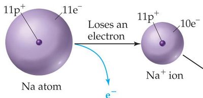 Na atom and Na+ ion size comparison