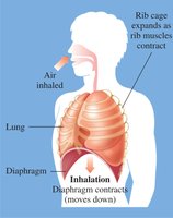 Inhalation mechanism
