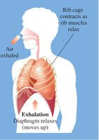 Exhalation mechanism