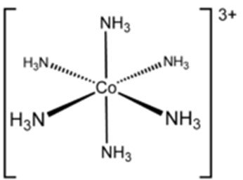 [Co(NH3)6]3+ octahedral complex