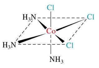 fac isomer of [Co(NH3)3Cl3]