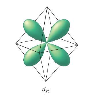 d_yz orbital in octahedral field