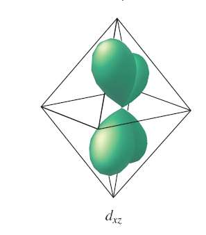d_xz orbital in octahedral field