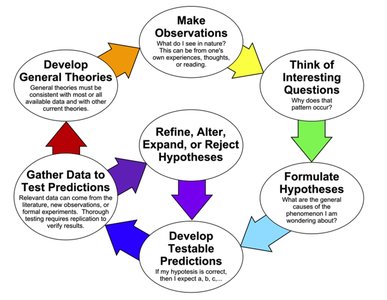 Diagram of the scientific method steps