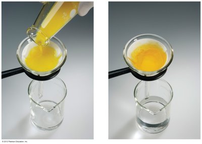 Chromatography process showing separation of colored substances