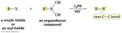 Suzuki reaction examples