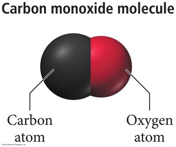 Carbon monoxide molecule: carbon atom and oxygen atom