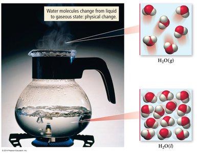 Boiling water: physical change