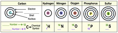 Octet rule: atoms react to fill their valence shells