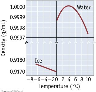 Density of water and ice vs temperature
