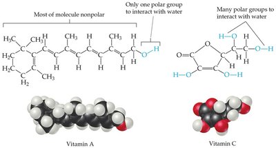 Structures of vitamin A and vitamin C