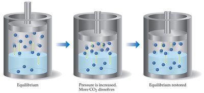Graph of gas solubility vs. partial pressure