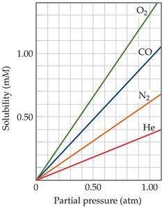 Henry's Law: solubility increases linearly with pressure
