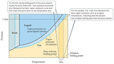 Phase diagram showing boiling-point elevation