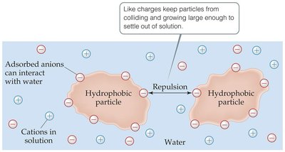 Adsorption of ions stabilizing colloids in water