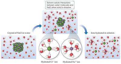 Hydration of Na+ and Cl- ions in water