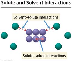 Solute and solvent interactions