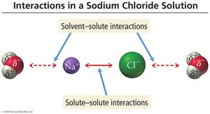 Interactions in a sodium chloride solution