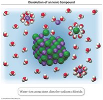 Dissolution of an ionic compound