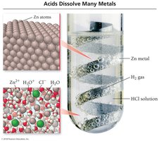 Acids dissolve metals