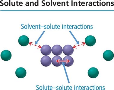 Solute and solvent interactions diagram
