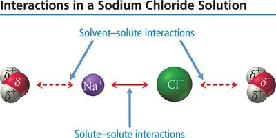 Solute and solvent interactions in sodium chloride solution