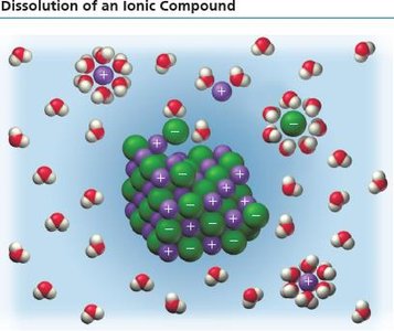 Dissolution of an ionic compound in water