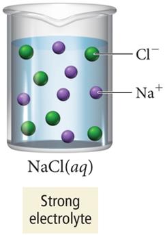 Strong electrolyte: NaCl(aq)