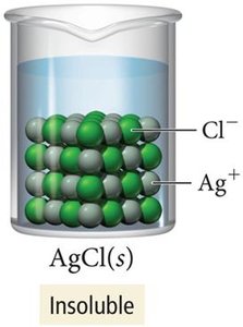 Insoluble salt: AgCl(s)