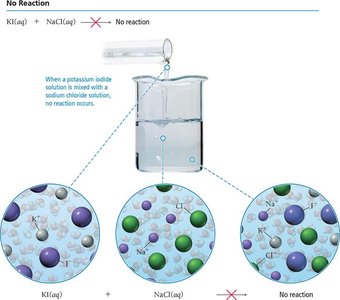 No precipitation: no reaction occurs