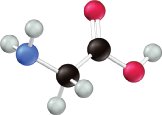 Glycine molecule