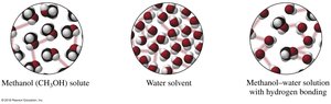 Methanol and water hydrogen bonding