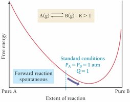 Free energy and equilibrium, K > 1