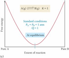 Free energy and equilibrium, K = 1