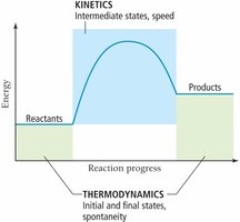Energy diagram showing thermodynamics and kinetics