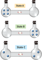 Microstates and entropy