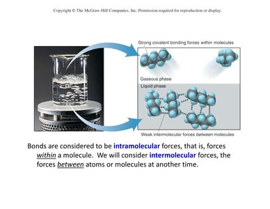 Intramolecular vs. intermolecular forces in water