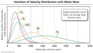 Variation of velocity distribution with molar mass