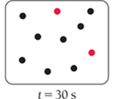t=30s, some product B formed