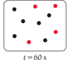 t=60s, more product B formed