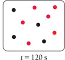 t=120s, most product B formed