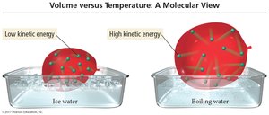 Volume versus temperature: molecular view