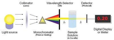 Schematic diagram of a spectrophotometer