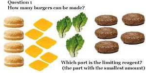 Limiting reactant burger analogy